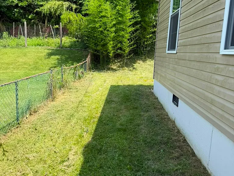 803 Silver Creek Rd — Photo 15
