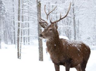 406 Deerfoot Lane & Pne, Albrightsville, PA 18210