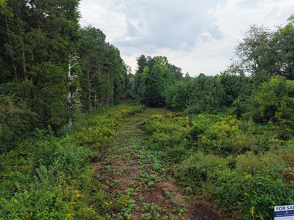 3rd image of 0 County Road 550
