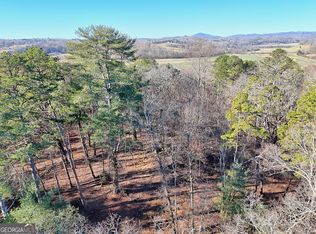 3 Annandale Dr, Clarkesville, GA 30523