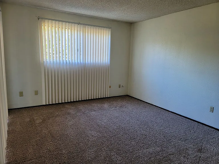 1031 Fallbrook Dr — Photo 19