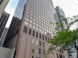 161 E Chicago Ave Unit 33A, Chicago, IL 60611