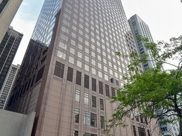 161 E Chicago Ave Unit 33A, Chicago, IL 60611