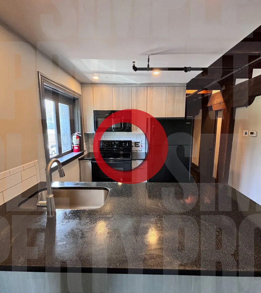 Studio, $1,250 — Photo 2