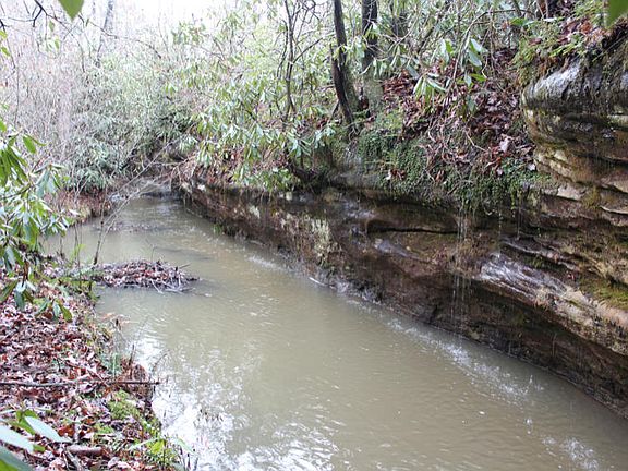 2nd image of Nichol Creek Dr