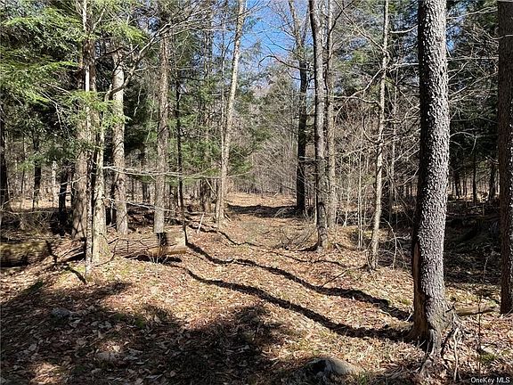 4th image of Big Woods Rd