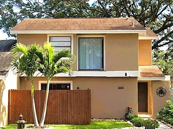 10519 Weeping Willow Pl, Tampa, FL 33624