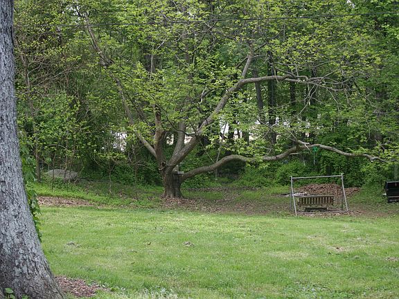 Relax in the Back Yard