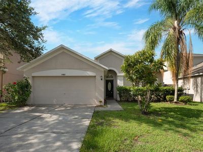 11451 Dutch Iris Dr, Riverview, FL, 33578
