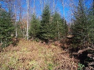Circular driveway from building site