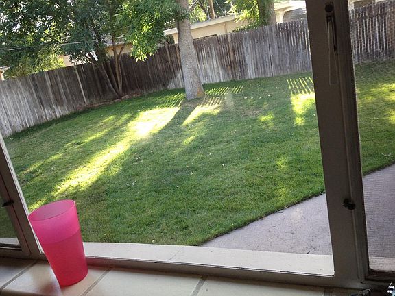 view from kitchen toward backyard