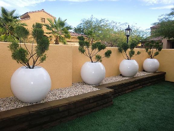 Front Yard