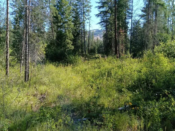 Kingsbury Lake Way, Kettle Falls, WA 99141