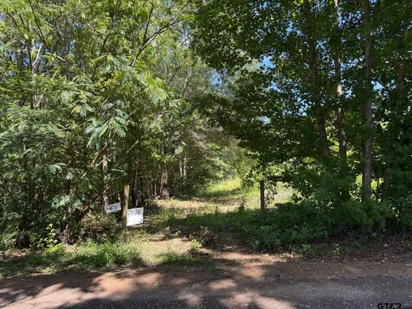 4078 County Road 398, Tyler, TX 75705