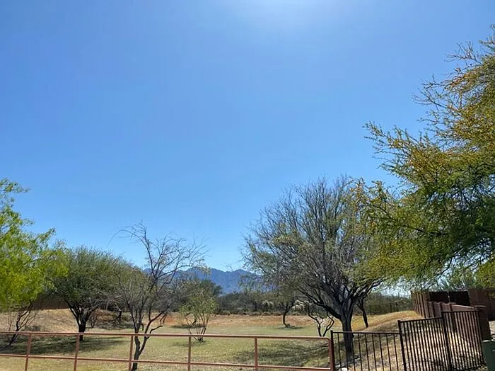 3411 W Tailfeather Dr — Photo 2