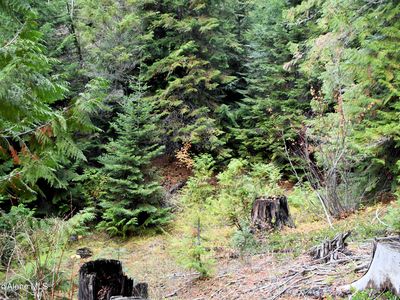 290 Campfire Ln, Saint Maries, ID, 83861