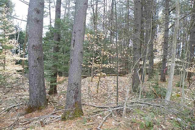 2nd image of 00 Pine Ridge Rd