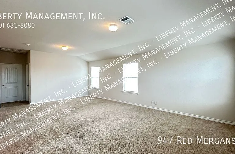947 Red Merganser — Photo 17
