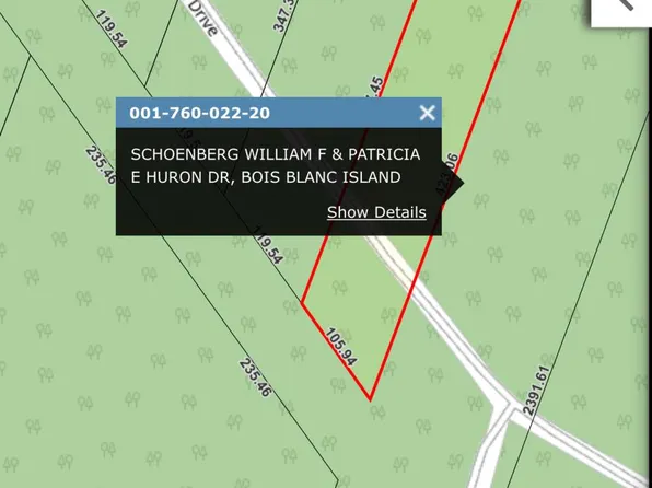 76002220 E Huron Dr, Pointe Aux Pins, MI 49775