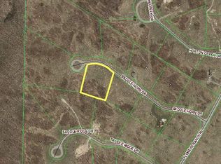 7675 Saddle Horn Dr, Grawn, MI 49637
