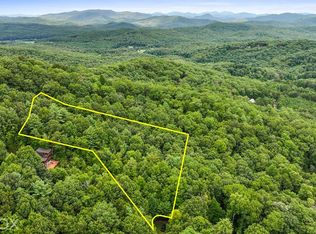 10 Papa Bear Path, Cherry Log, GA 30522