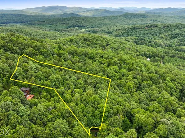 10 Papa Bear Path, Cherry Log, GA 30522