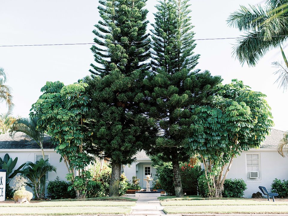 Lush Landscaping