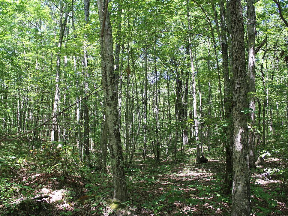 2nd image of Black House Mountain Rd