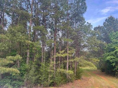 477 Cr, Henderson, TX, 75654