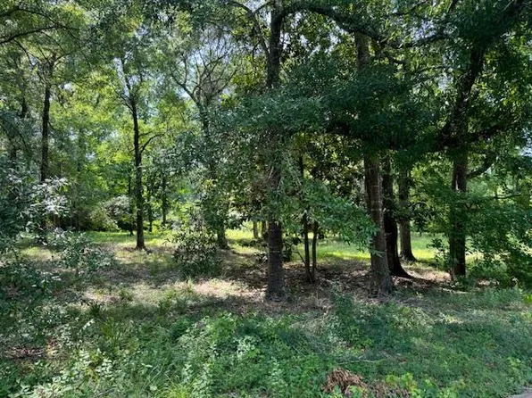 LOT 2 Hunterwood Dr, Jasper, TX 75951
