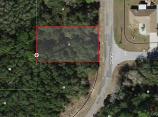6990 N Lime Dr, Citrus Springs, FL 34433