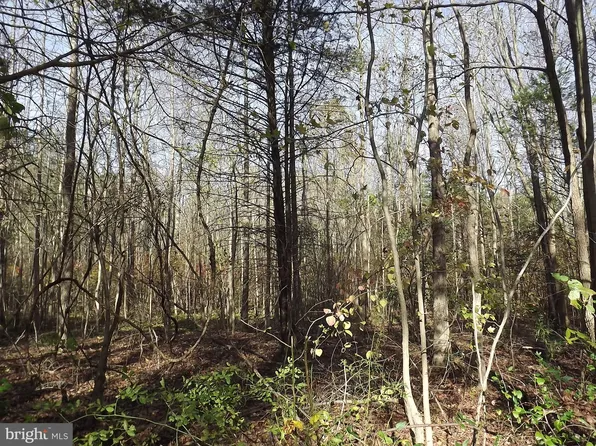 0 Yorketown Rd, Alloway, NJ 08001