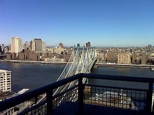 Rented by Lisa Management | media 25