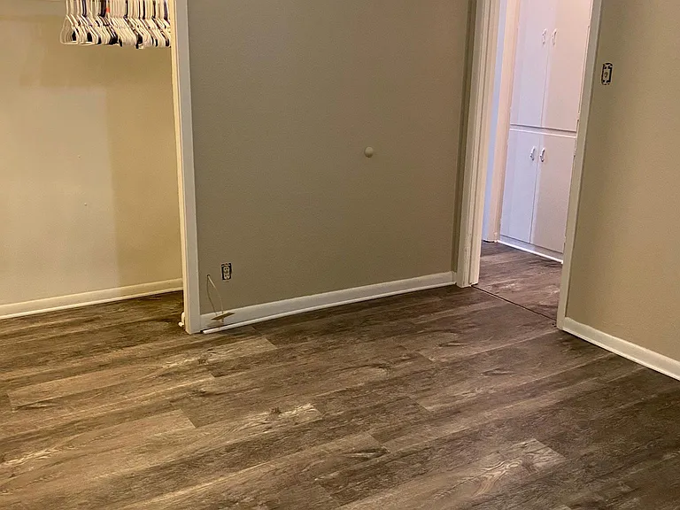 bedroom with large lighted closet