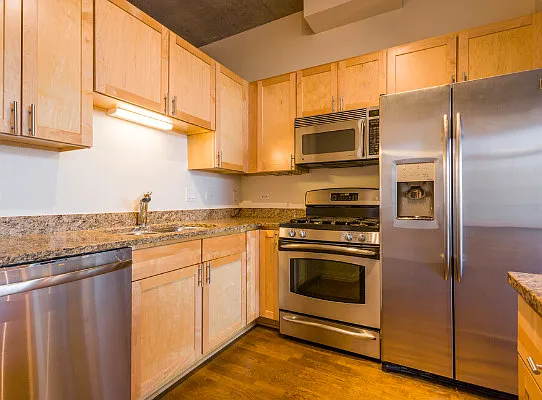 700 N Larrabee St #1704 — Photo 10