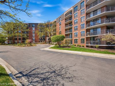 511 Aurora Ave Unit 313, Naperville, IL, 60540