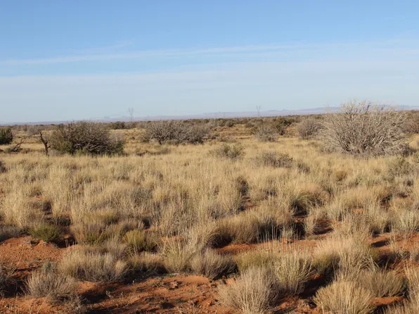 224 Ccr, Heber, AZ 85928