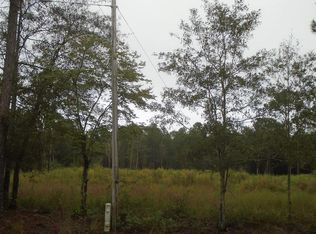 LOT 1 Grizzly Bear Rd, Norman Park, GA 31771