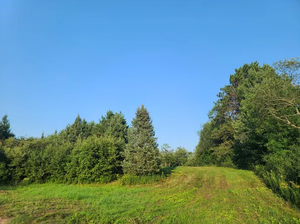 Woodlawn Rd #80ACRES, Kennan, WI 54537