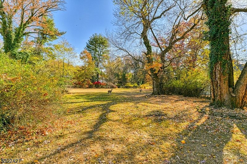 1st image of 0 R758-66woodland Ave