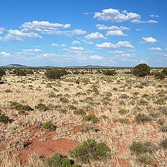 3rd image of Picacho Rd