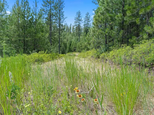 Nka E Belmont Rd Parcel C, Mica, WA 99023