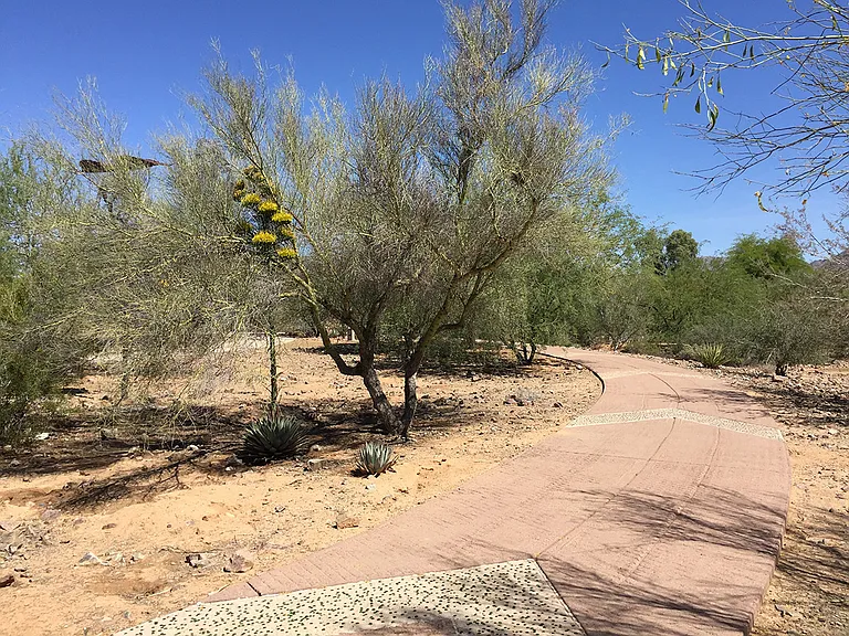 Bike, walk and running trails and paths for miles