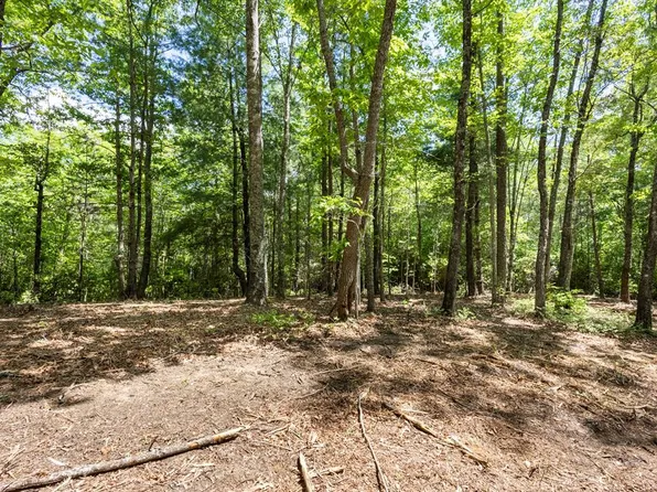 4.3 AC Donley Road, Murphy, NC 28906