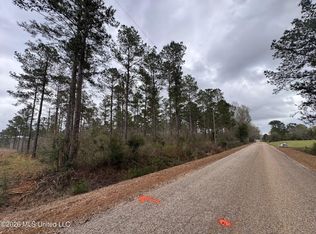 5 Dinan Salem Rd, Tylertown, MS 39667