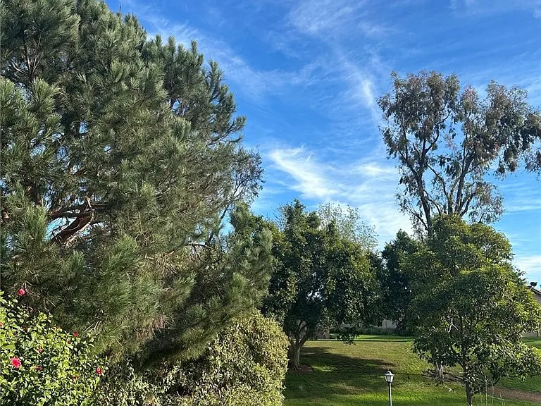 18 Rockrose Way — Photo 3