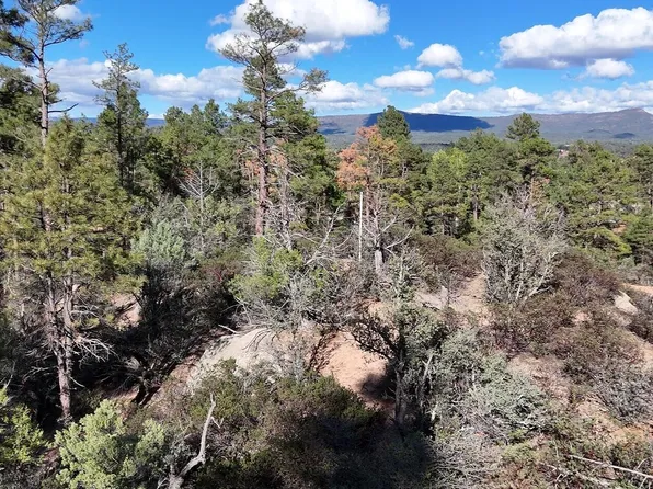 37 E Saddleback Trl, Payson, AZ 85541