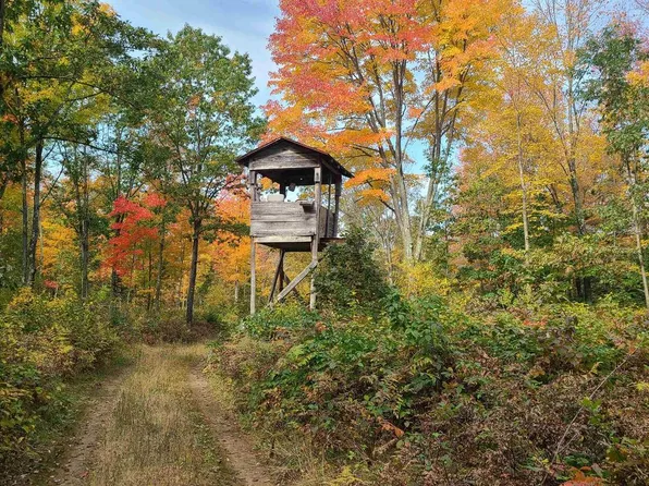 HOLLYWOOD ROAD #105.78 acres, Mosinee, WI 54455