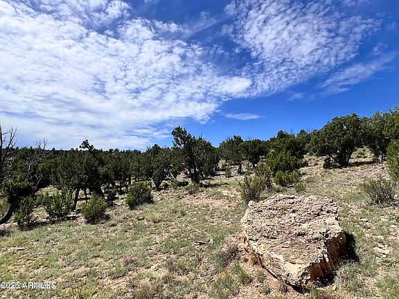 3rd image of 4367 Sunset Ridge Loop #178