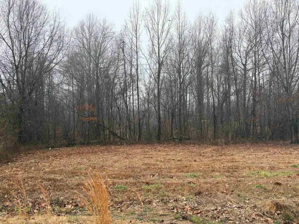 0 Bondurant Rd, Ripley, TN 38063